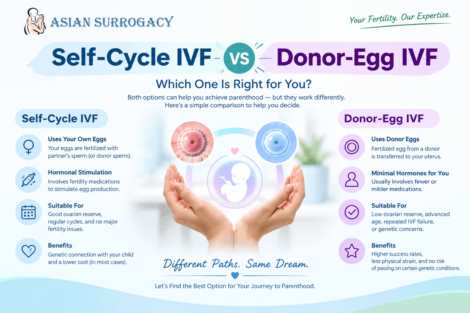 Self-Cycle-vs-Donor-Egg-IVF